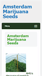 Mobile Screenshot of amsterdammarijuanaseeds.11il.com